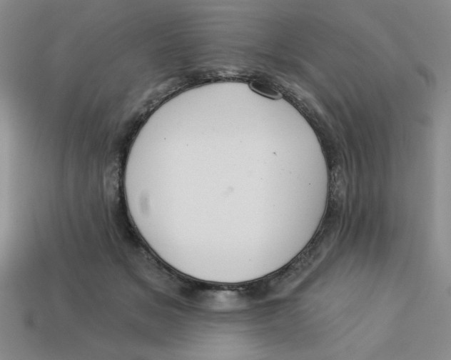 X0000113340509200910131221