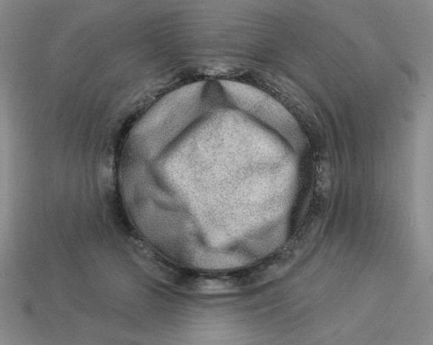 X0000113340510200910131221