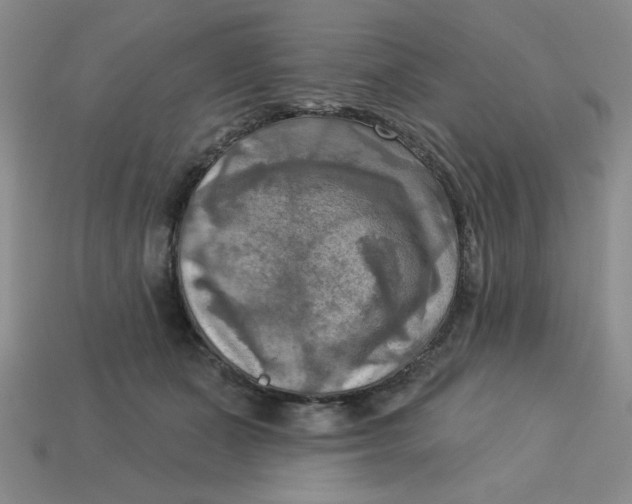 X0000113340511200910131221