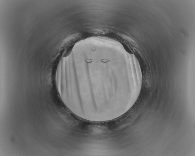 X0000113340512200910131221