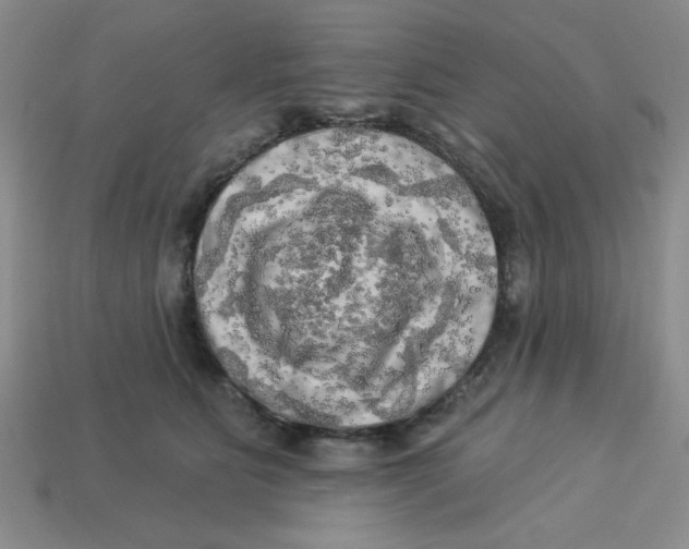 X0000113340515200910131221
