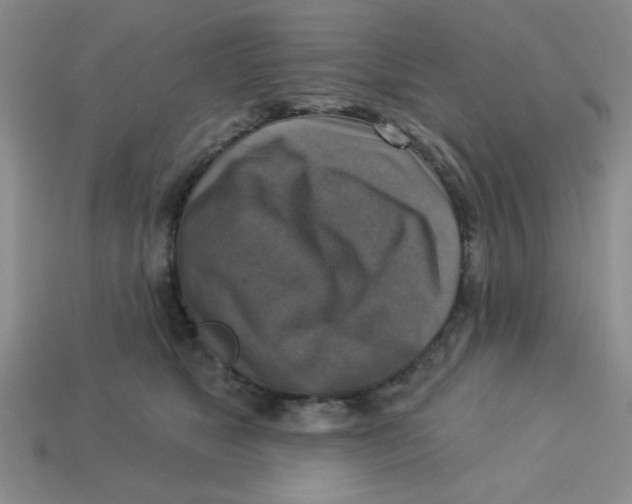 X0000113340517200910131221