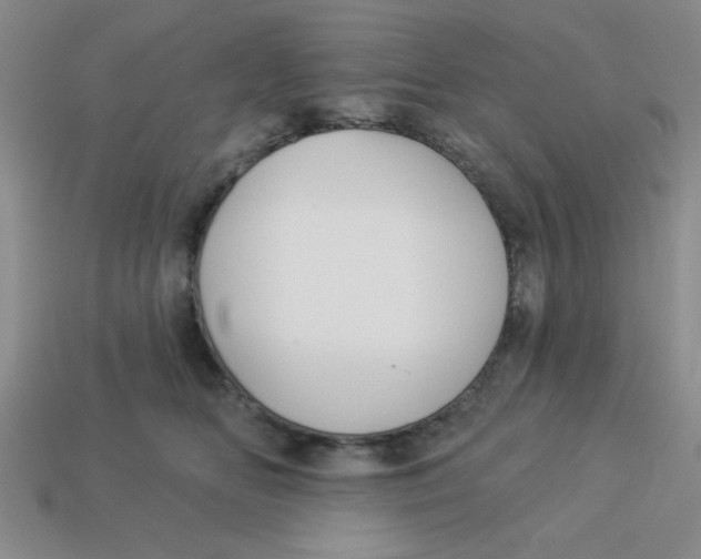 X0000113340518200910131221