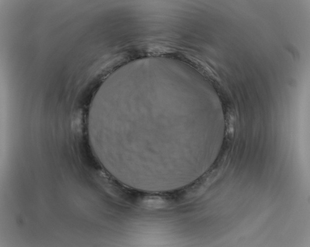 X0000113340519200910131221