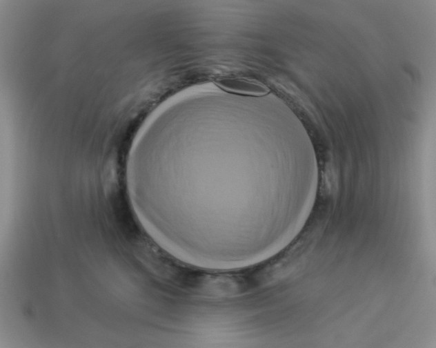 X0000113340520200910131221
