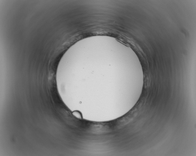 X0000113340521200910131221