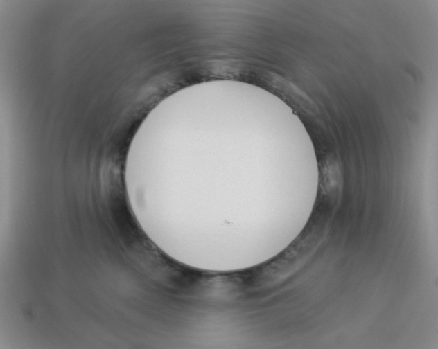 X0000113340522200910131221