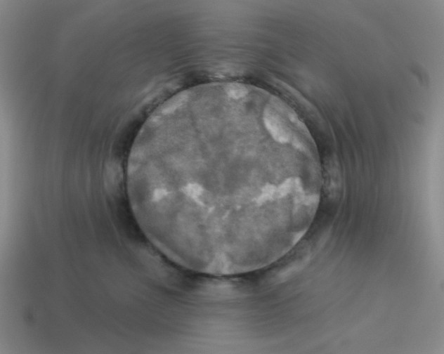 X0000113340523200910131221