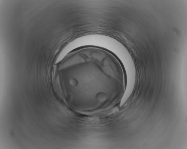 X0000113340524200910131221