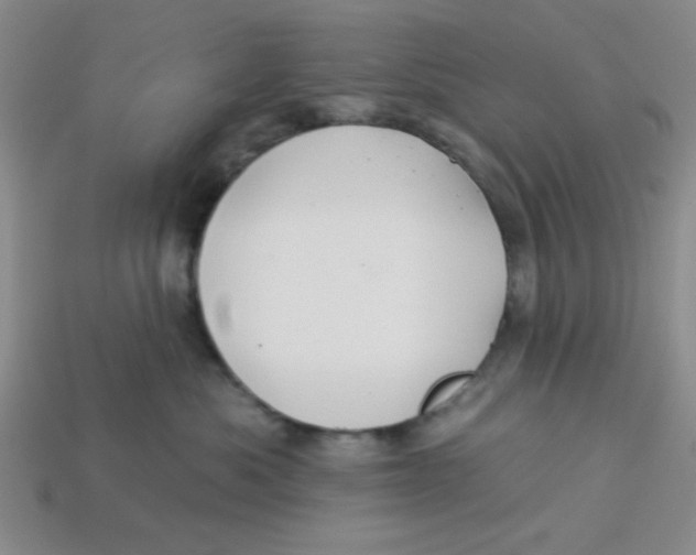 X0000113340525200910131221