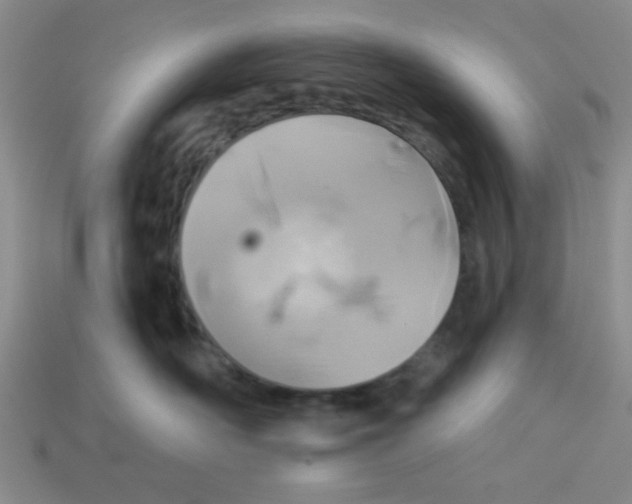 X0000113340526200910131221