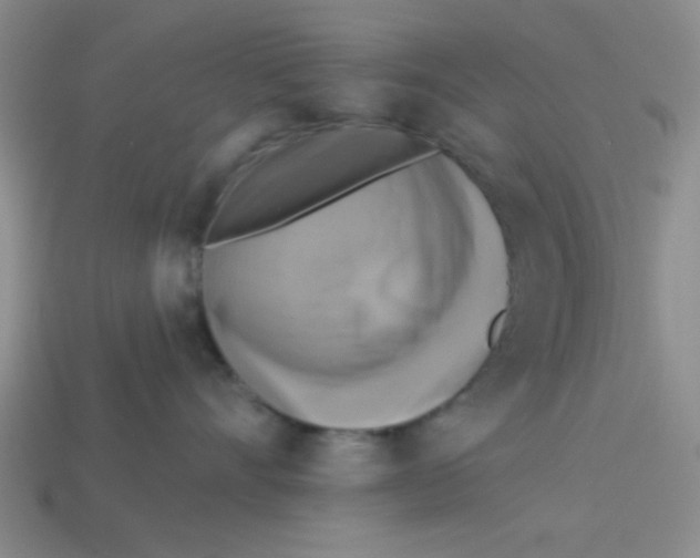 X0000113340528200910131221