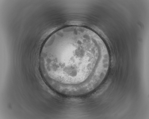 X0000113340529200910131220