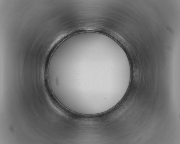 X0000113340530200910131220