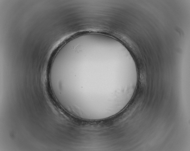 X0000113340532200910131220