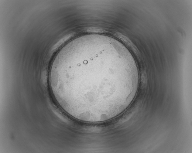 X0000113340533200910131220