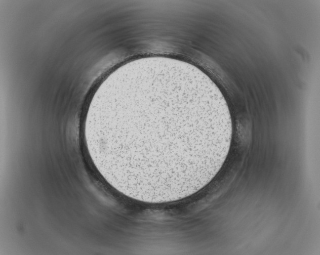 X0000113340534200910131220