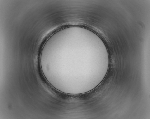 X0000113340535200910131220