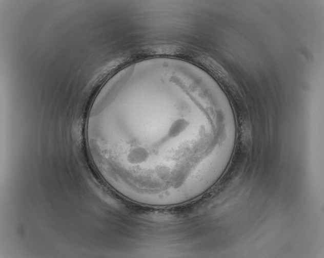 X0000113340537200910131220