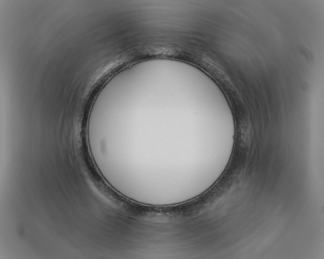 X0000113340538200910131220