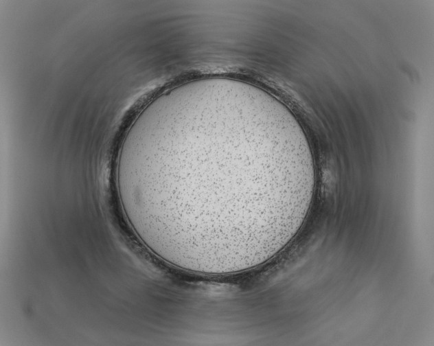 X0000113340539200910131220