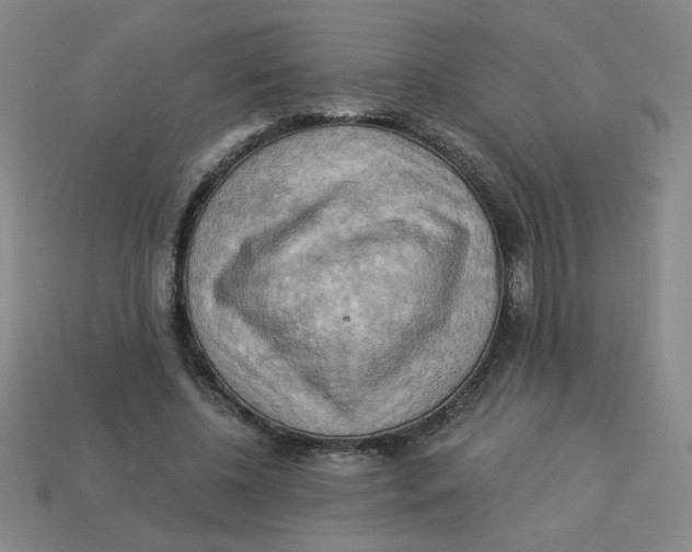 X0000113340540200910131220