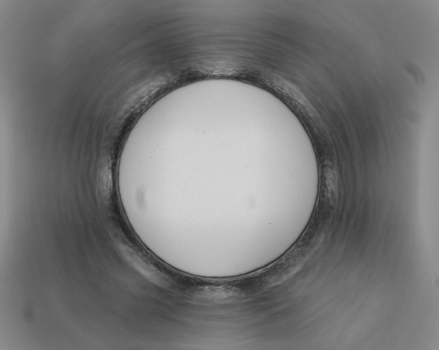 X0000113340541200910131220