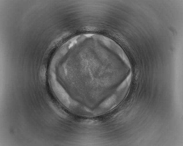 X0000113340542200910131220