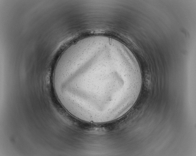 X0000113340543200910131220