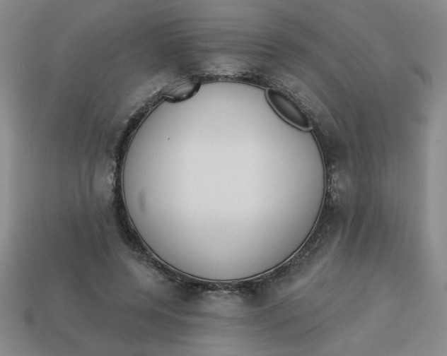 X0000113340544200910131220