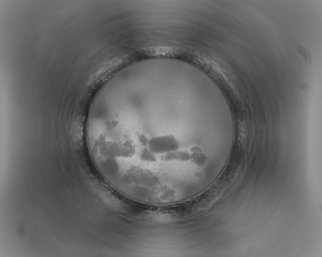 X0000113340545200910131220