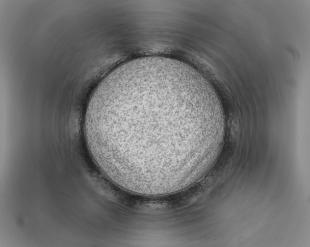 X0000113340546200910131220