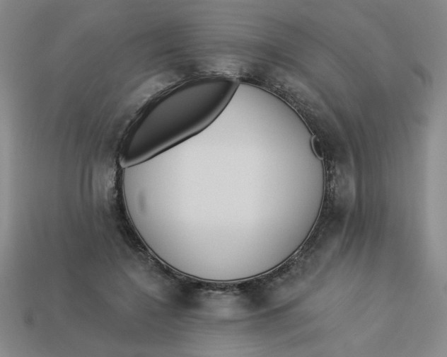 X0000113340548200910131220