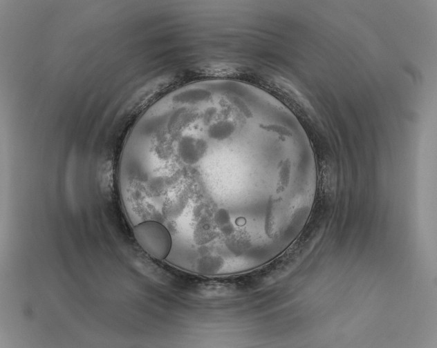 X0000113340549200910131220