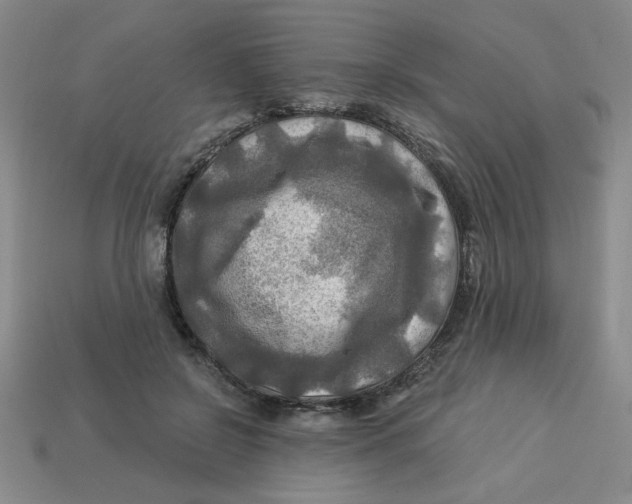 X0000113340550200910131221