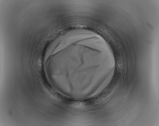 X0000113340551200910131221