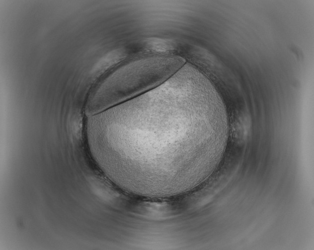X0000113340552200910131221