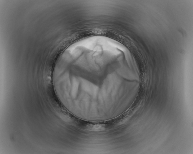 X0000113340553200910131221