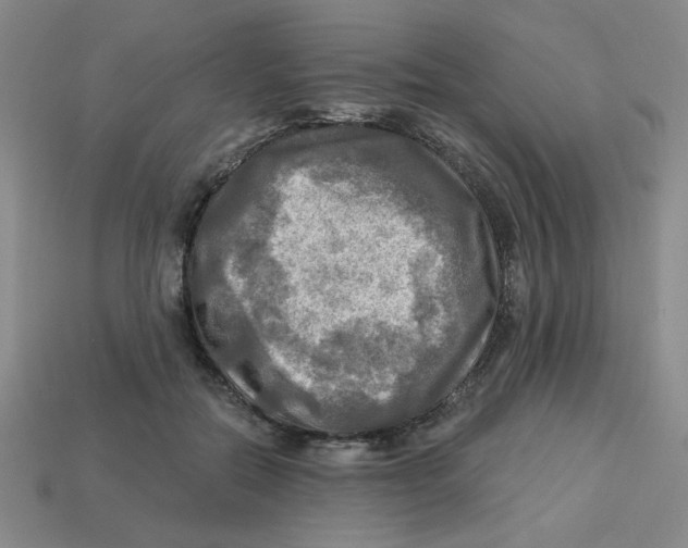 X0000113340554200910131221