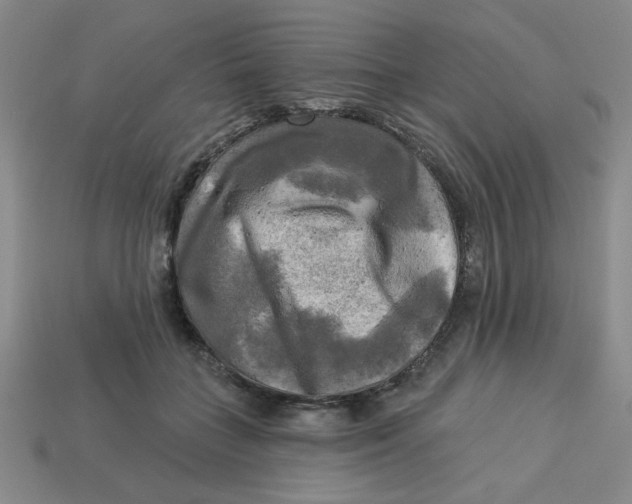 X0000113340555200910131221