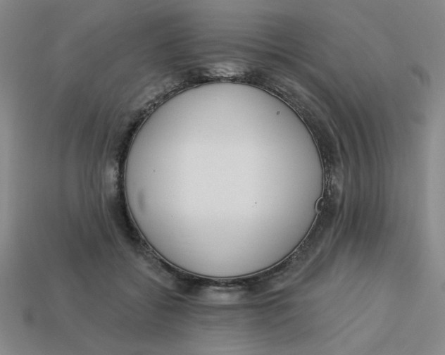 X0000113340556200910131221
