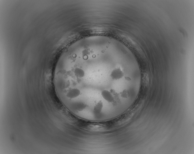 X0000113340557200910131221
