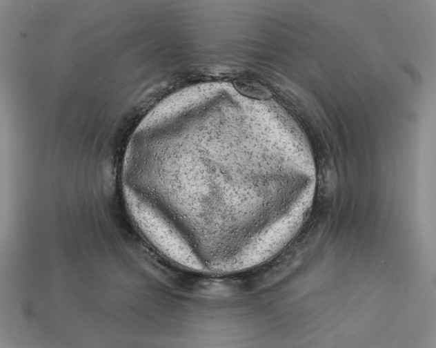 X0000113340558200910131221