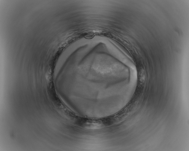 X0000113340559200910131221