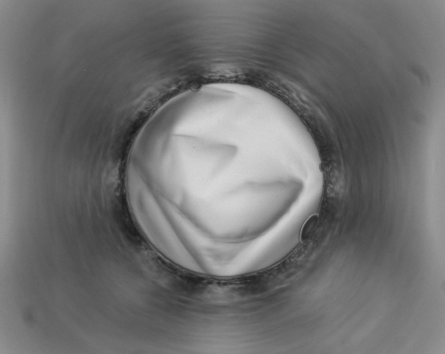 X0000113340560200910131221