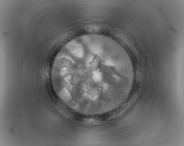 X0000113340561200910131221