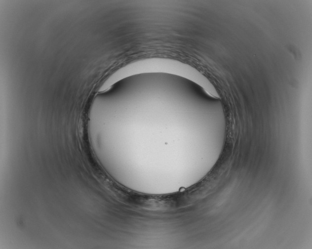 X0000113340562200910131221