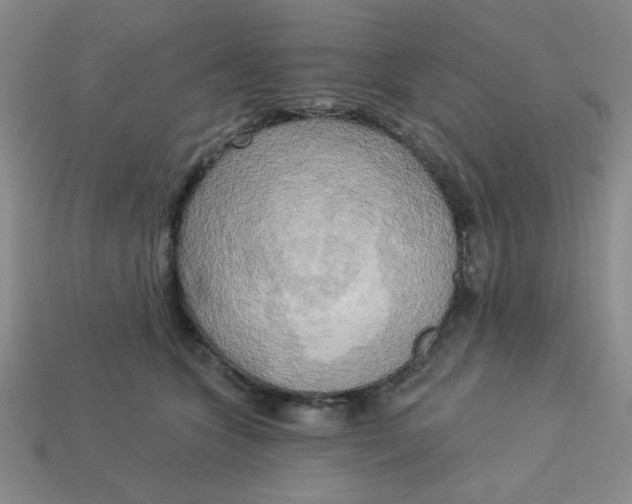 X0000113340563200910131221