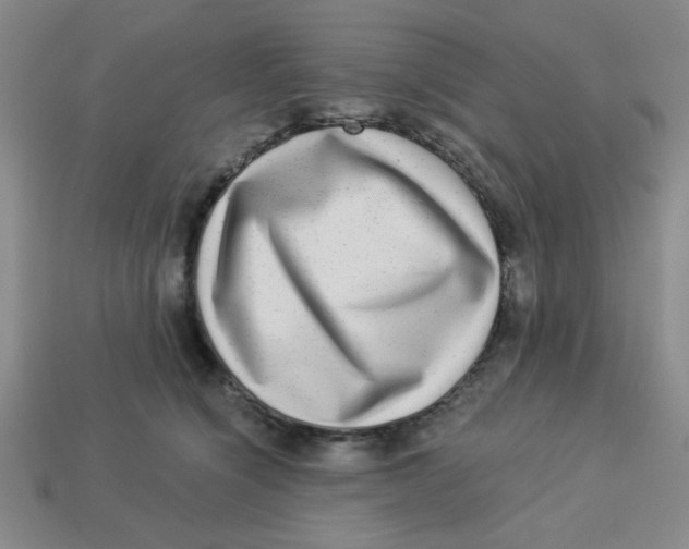 X0000113340564200910131221