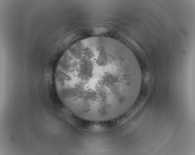 X0000113340565200910131221